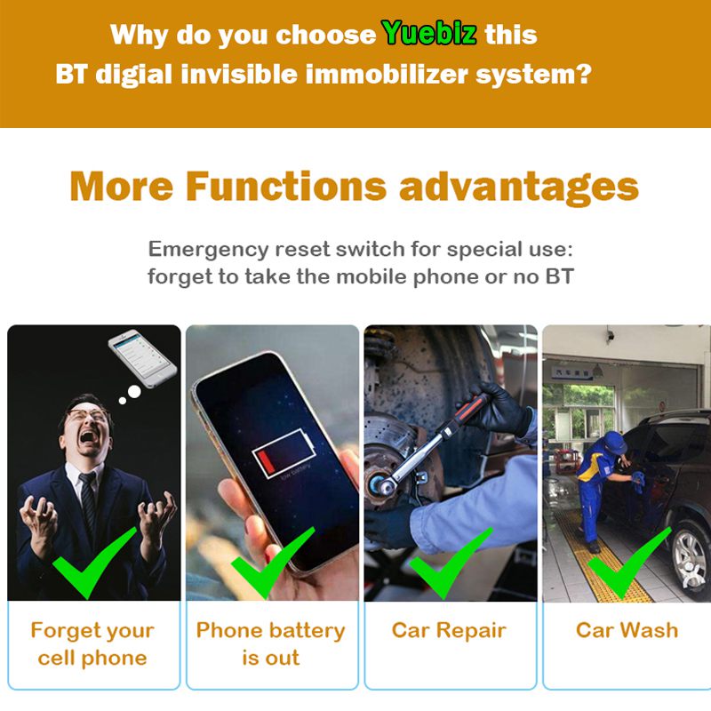 BT key immobilizer system